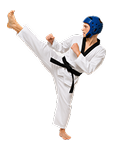 Taekvondo